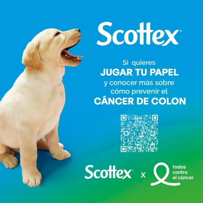Papel higiénico Scottex Megarollo (rollo doble) 48 rollos = 96 rollos regulares
